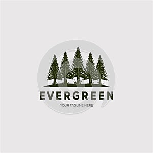 Pine tree logo evergreen spruce fir vector emblem illustration design