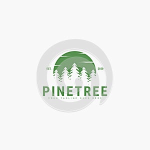 Pine tree logo vector illustration design