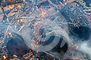 Pine Tree Logs in a Smokey Fire