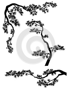 pine tree long branches silhouette for vector frame border design