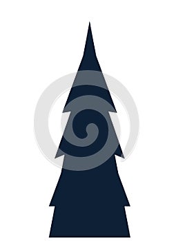 pine tree plant forest