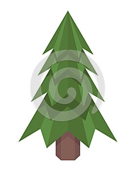 pine tree plant forest