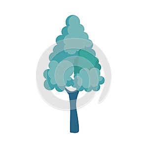 Pine tree plant isolated icon