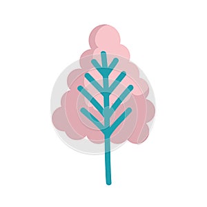 Pine tree plant isolated icon