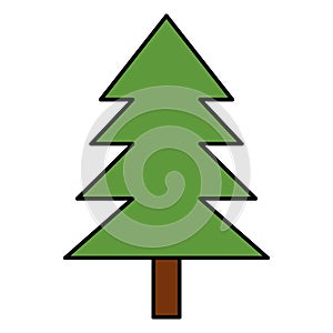 Pine tree plant natural icon