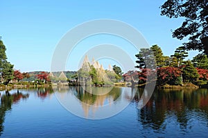 Pine tree and pond in ken rokuen park