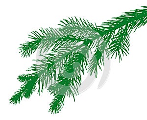 Pine tree`s leaves silhouette illustration photo