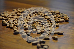 Pine tree seeds on a walnut wooden table