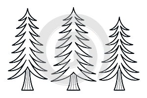 Pine Tree Set in Clean Outline Strokes. Minimal Pine Tree Illustration with Line Art Style