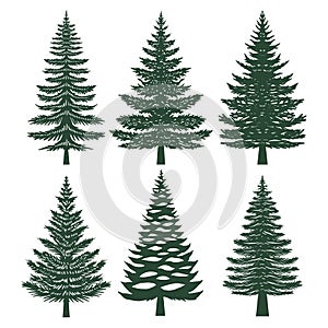 Pine tree silhouette set collection