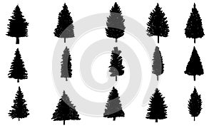 Pine tree silhouette set collection vector illustration