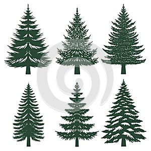 Pine tree silhouette set collection