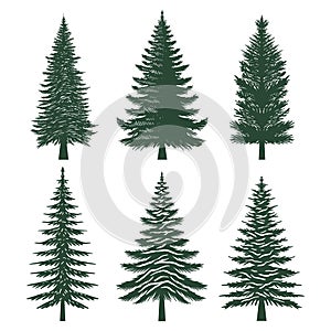 Pine tree silhouette set collection