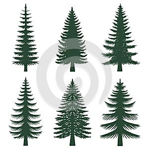 Pine tree silhouette set collection