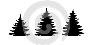 Pine tree vector shape set. Hand drawn stylized black monochrome illustration collection isolated on white background