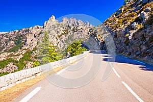 Pine trees in Col de Bavella mountains, Corsica island, France,