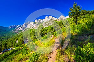 Pine trees in Col de Bavella mountains near Zonza town, Corsica