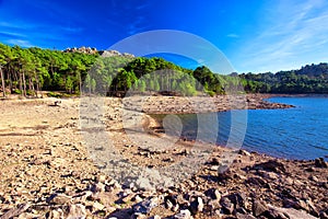 Pine trees in Col de Bavella mountains near Zonza town, Corsica photo