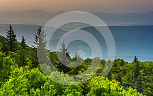 Pine trees and distant mountains, seen from Bear Rocks Preserve, Monongahela National Forest, West Virginia.