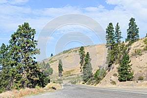 Pine trees dot the side of State Route 10 near Cle Elum Washington