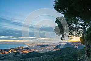 Pine trees and evening view of El Masnou photo