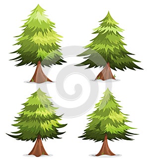 Pine Trees And Firs Set