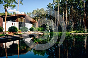 Pine trees in forest with cottage summer autumn nature outdoors holiday relax spa