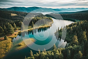 Pine Trees Forest with Tranquil Lake reflections, beautiful sky, Travel Photography, Drone View