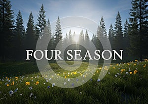 Pine trees form a dense forest backdrop with a sun peeking