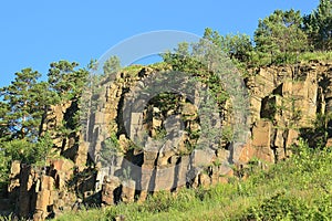 The pine trees that grew on dolerite rocks. A force of nature. The Eastern Siberia.