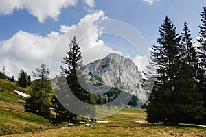 pine trees and a high rocky mountain in the middle on the wurzeralm in austria