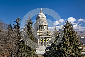 Pine trees and the Idaho State Capital building
