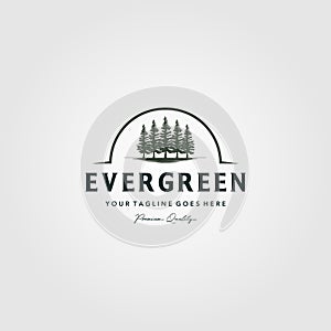 Pine trees logo evergreen Vintage Spruce, Cedar trees vector illustration design