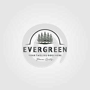 Pine trees logo evergreen Vintage Spruce, Cedar trees vector illustration design photo