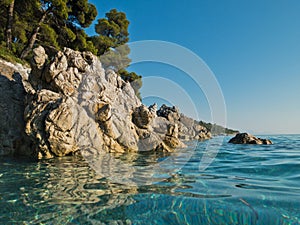 Pine trees over sea rocks over crystal clear turquoise water, Kastani Mamma Mia beach, island of Skopelos photo