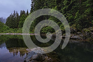 Pine trees reflecting in the crystal clear water of a lake on a cloudy day in Lynn Canyon Park forest, Vancouver, Canada