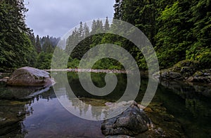 Pine trees reflecting in the crystal clear water of a lake on a cloudy day in Lynn Canyon Park forest, Vancouver, Canada