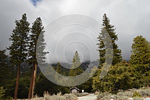 Pine Trees and Road House Angeles National Forest Mountainside San Gabriel Mountains Peak Overcast