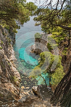 Pine trees on a rock over crystal clear turquoise water near cape amarandos at skopelos island