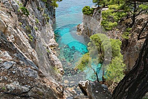 Pine trees on a rock over crystal clear turquoise water near cape amarandos at skopelos island