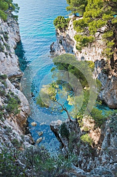 Pine trees on a rock over crystal clear turquoise water near Cape Amarandos at Skopelos island