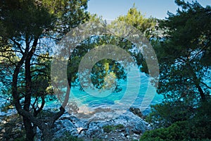 Pine trees on a rock over crystal clear turquoise water near Cape Amarandos at Skopelos island