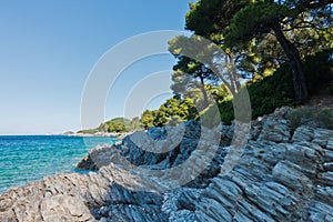 Pine trees on a rocks over crystal clear turquoise water near Panormos bay at Skopelos island