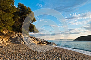 Pine trees, rocks and sand at sunset, Kastani Mamma Mia beach, island of Skopelos