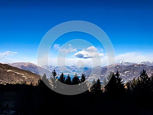 Pine trees silhouette in italian Alp mountains landscape