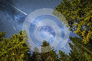 Pine trees silhouette Milky Way meteor shower photo