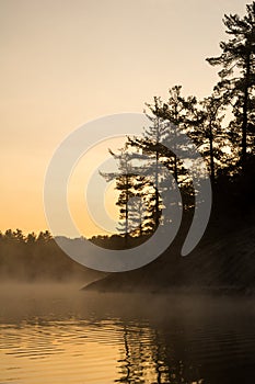Pine Trees Silhouetted On A Steep Shoreline At Sunrise