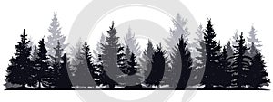 Pine trees silhouettes. Evergreen coniferous forest silhouette, nature spruce tree park view vector illustration