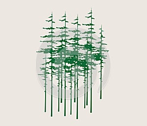 Pine Trees, ssign and symbol design photo