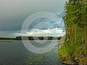 Pine trees on the steep rocky shore of the lake photo